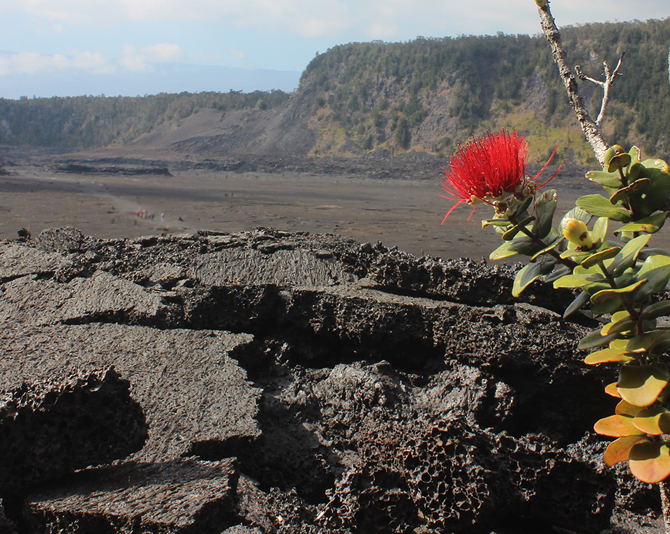 Preserving The Ecology Of Hawaii Volcanoes National Park