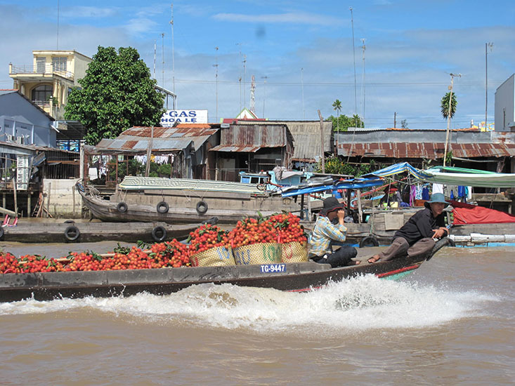 Life In The Mekong Delta Homestay 2 Nights Semester At Sea - 