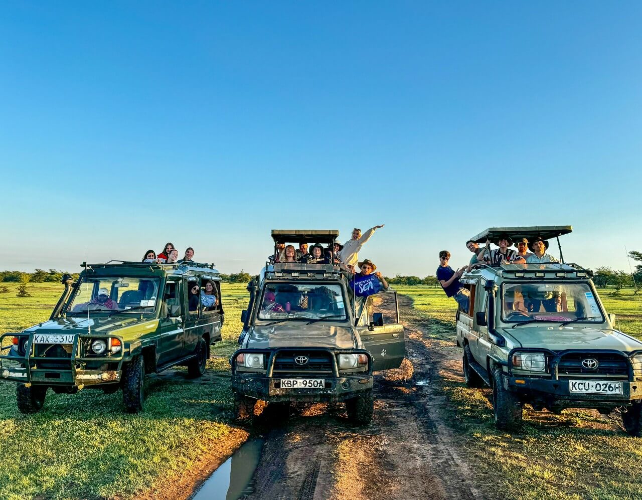 Three rugged, pop-top safari vehicles are parked next to one another on a grassy plain. Each vehicle is filled with smiling people leaning out of the windows and skylights, one of whom holds a blue flag that says “Semester at Sea.”